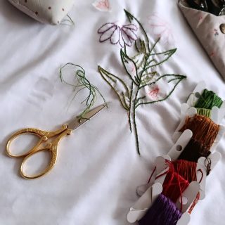 Margaridas a trazer ânimo aos dias cinzentos 🌈