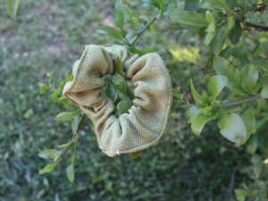 Scrunchie
