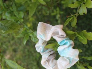 Scrunchie